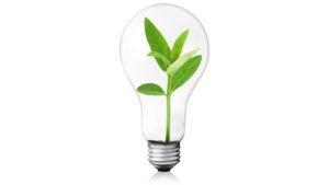 Light Bulb With Plant Growing Inside