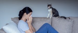 pets affect indoor air quality